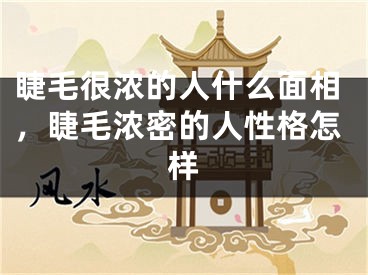 睫毛很浓的人什么面相,睫毛浓密的人性格怎样