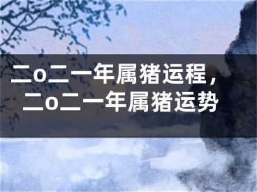 二o二一年属猪运程，二o二一年属猪运势