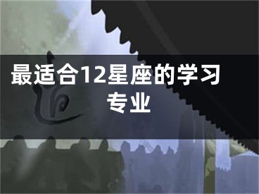 最适合12星座的学习专业