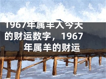 1967年属羊人今天的财运数字，1967年属羊的财运