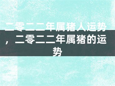 二零二二年属猪人运势，二零二二年属猪的运势