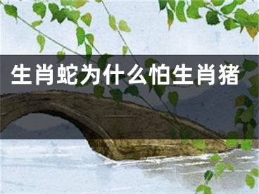 生肖蛇为什么怕生肖猪 