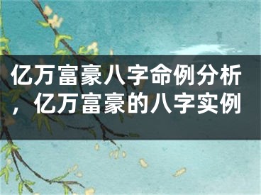 亿万富豪八字命例分析,亿万富豪的八字实例