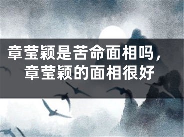 章莹颖是苦命面相吗,章莹颖的面相很好