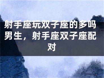 射手座玩双子座的多吗男生，射手座双子座配对