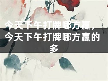 今天下午打牌哪方赢,今天下午打牌哪方赢的多
