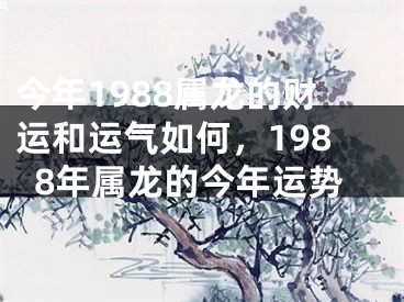 今年1988属龙的财运和运气如何,1988年属龙的今年运势