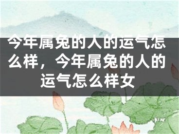 今年属兔的人的运气怎么样，今年属兔的人的运气怎么样女