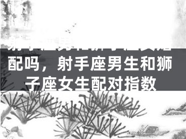 射手座男和狮子座女婚配吗,射手座男生和狮子座女生配对指数