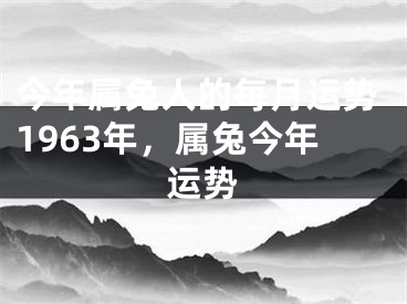 今年属兔人的每月运势1963年，属兔今年运势