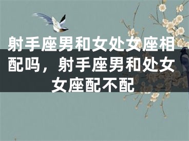 射手座男和女处女座相配吗,射手座男和处女女座配不配
