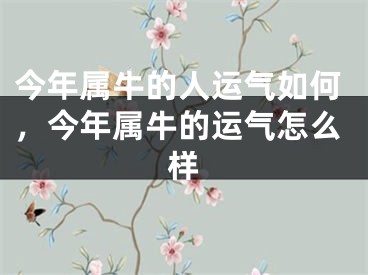 今年属牛的人运气如何,今年属牛的运气怎么样