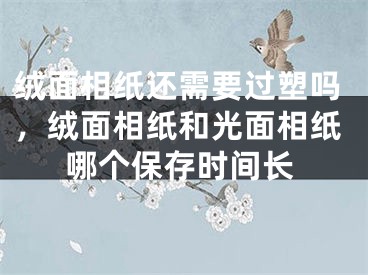 绒面相纸还需要过塑吗，绒面相纸和光面相纸哪个保存时间长