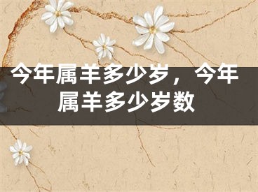 今年属羊多少岁,今年属羊多少岁数