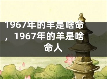 1967年的羊是啥命,1967年的羊是啥命人