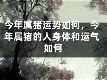 今年属猪运势如何,今年属猪的人身体和运气如何