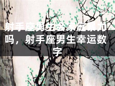 射手座男生会家庭暴力吗，射手座男生幸运数字