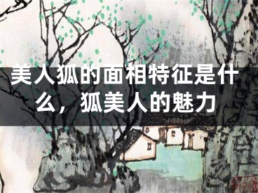 美人狐的面相特征是什么，狐美人的魅力
