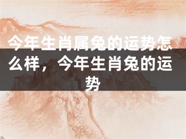 今年生肖属兔的运势怎么样,今年生肖兔的运势