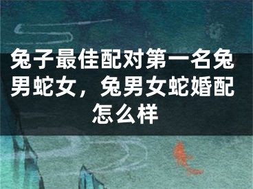 兔子最佳配对第一名兔男蛇女，兔男女蛇婚配怎么样