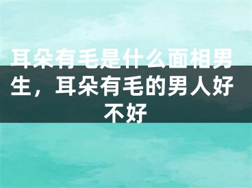 耳朵有毛是什么面相男生,耳朵有毛的男人好不好