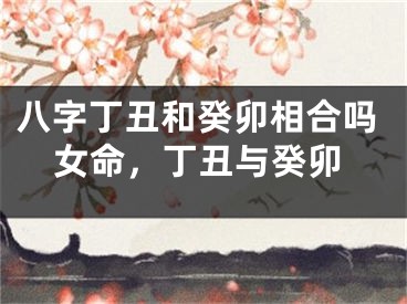 八字丁丑和癸卯相合吗女命,丁丑与癸卯