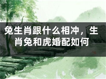 兔生肖跟什么相冲,生肖兔和虎婚配如何