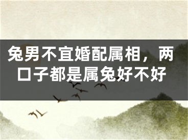 兔男不宜婚配属相,两口子都是属兔好不好