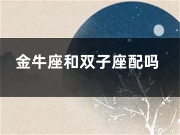 金牛座和双子座配吗