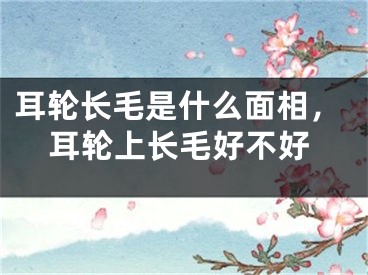耳轮长毛是什么面相,耳轮上长毛好不好