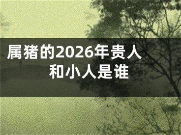 属猪的2026年贵人和小人是谁