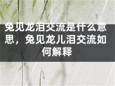 兔见龙泪交流是什么意思,兔见龙儿泪交流如何解释