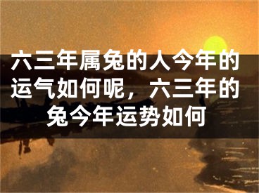 六三年属兔的人今年的运气如何呢,六三年的兔今年运势如何
