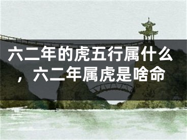 六二年的虎五行属什么,六二年属虎是啥命