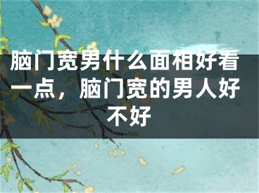 脑门宽男什么面相好看一点,脑门宽的男人好不好