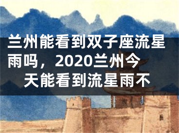 兰州能看到双子座流星雨吗，2020兰州今天能看到流星雨不