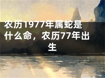 农历1977年属蛇是什么命,农历77年出生