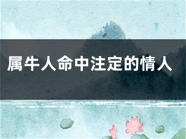 属牛人命中注定的情人