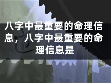 八字中最重要的命理信息，八字中最重要的命理信息是