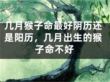 几月猴子命最好阴历还是阳历,几月出生的猴子命不好