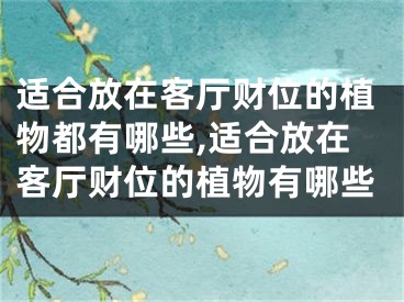 适合放在客厅财位的植物都有哪些,适合放在客厅财位的植物有哪些