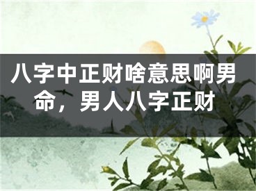 八字中正财啥意思啊男命，男人八字正财