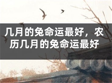 几月的兔命运最好,农历几月的兔命运最好