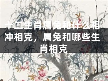 十二生肖属兔和什么相冲相克，属兔和哪些生肖相克