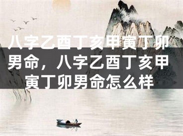 八字乙酉丁亥甲寅丁卯男命，八字乙酉丁亥甲寅丁卯男命怎么样