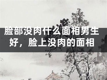 脸部没肉什么面相男生好，脸上没肉的面相