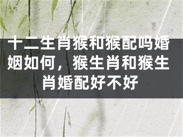 十二生肖猴和猴配吗婚姻如何,猴生肖和猴生肖婚配好不好