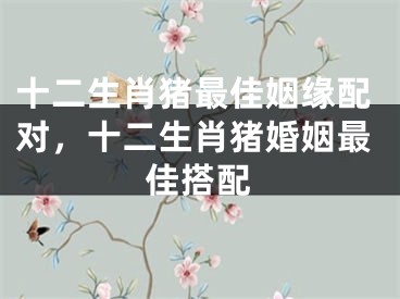 十二生肖猪最佳姻缘配对，十二生肖猪婚姻最佳搭配
