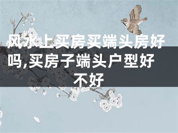 风水上买房买端头房好吗,买房子端头户型好不好