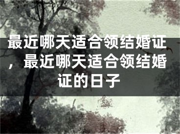 最近哪天适合领结婚证,最近哪天适合领结婚证的日子